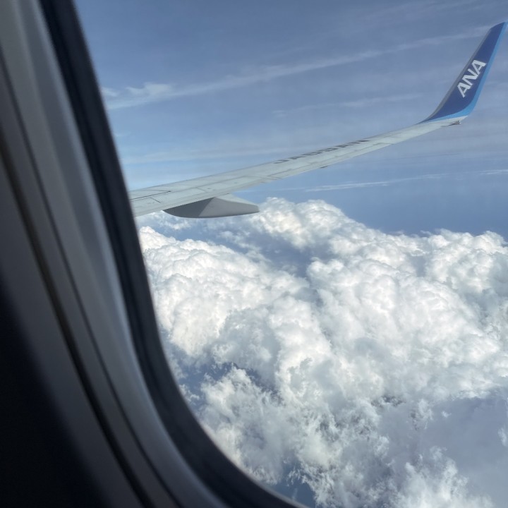 りりむ
