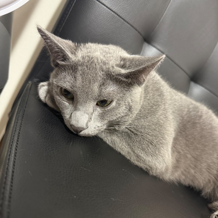 ひじり