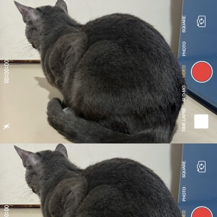 みと