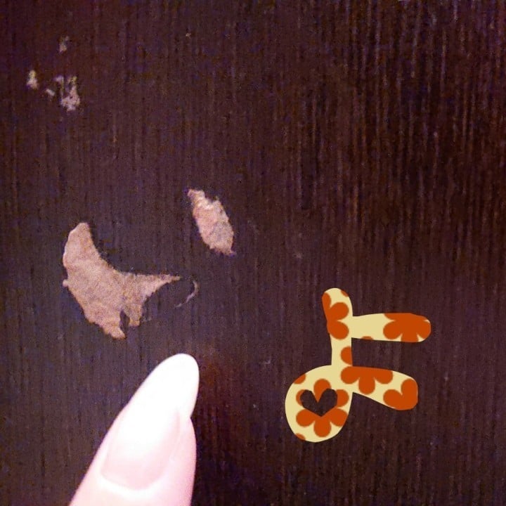 いよ