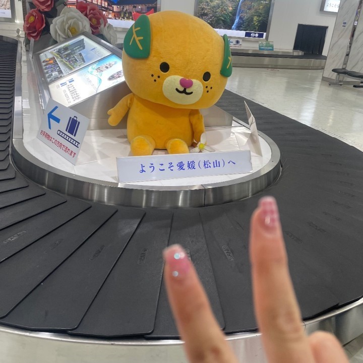 こいの