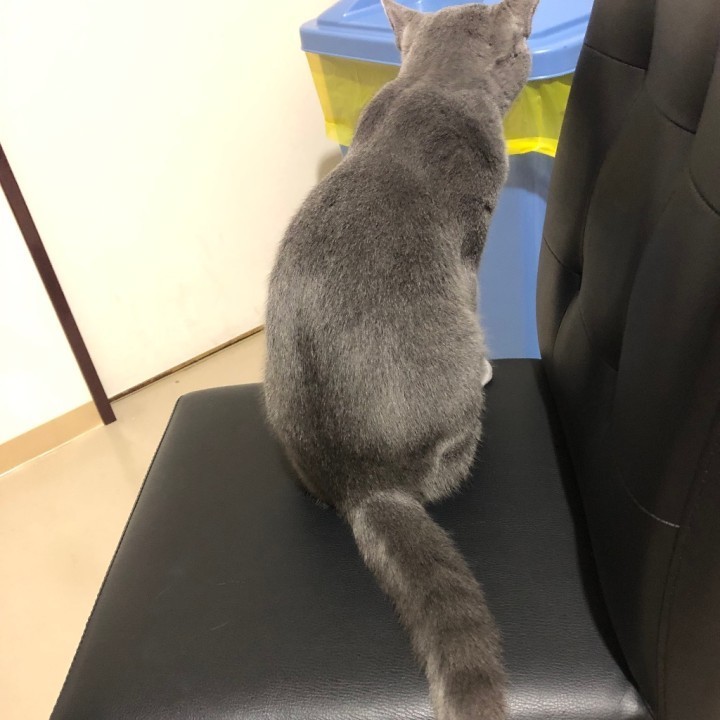 きずな