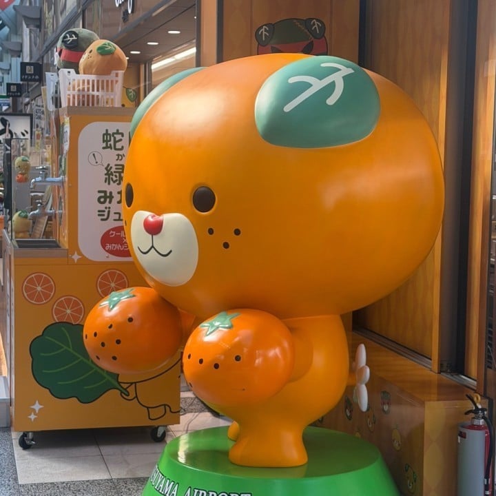かい