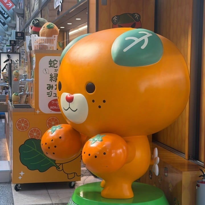 かい