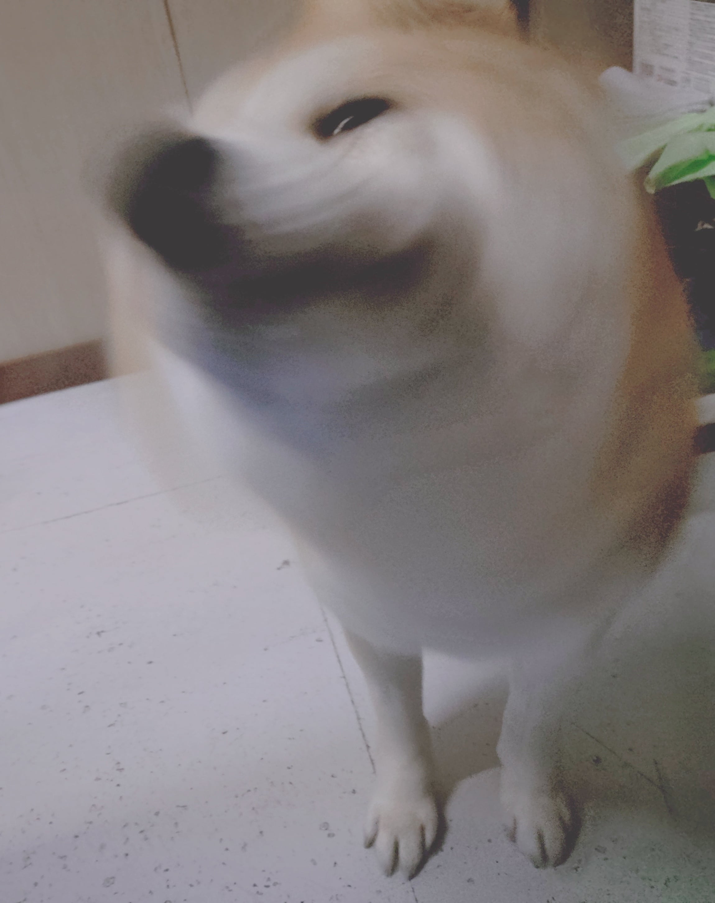 みくも