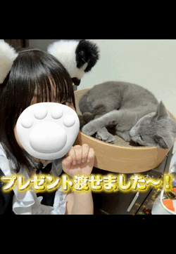 ゆうか