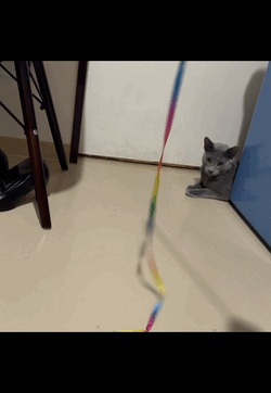 ゆうか