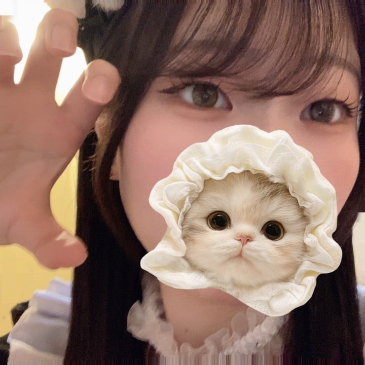 しおり
