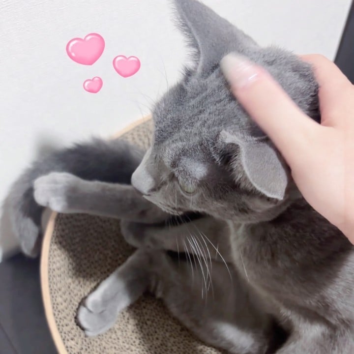 なの
