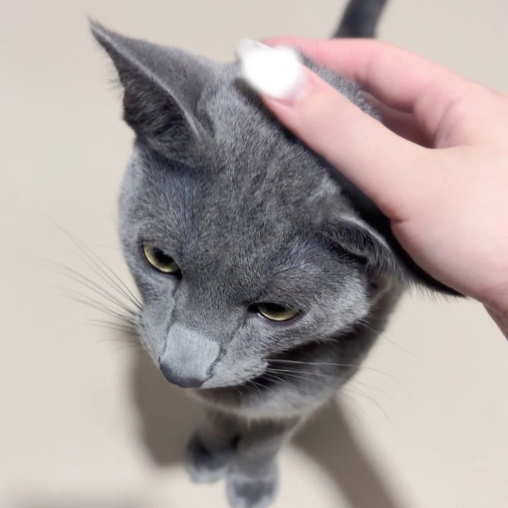 なの