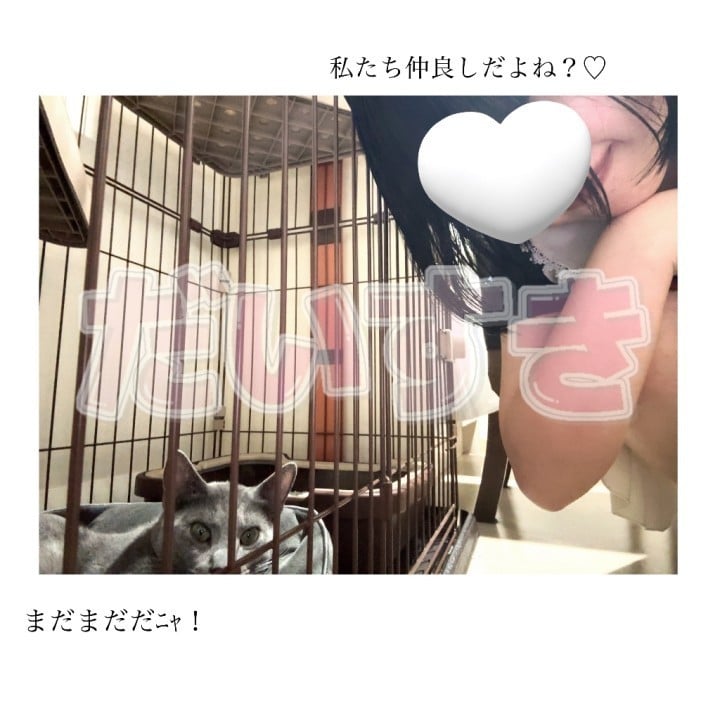 ゆうか