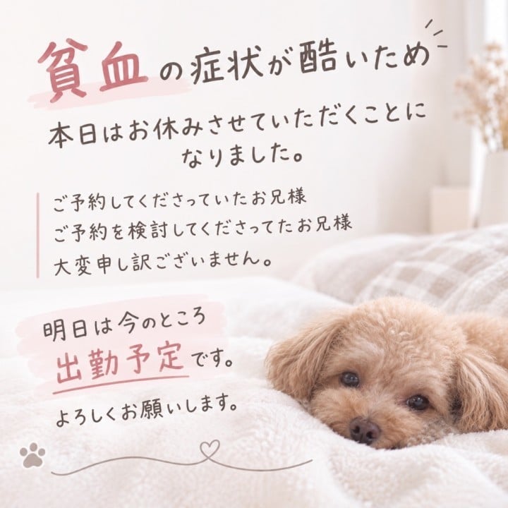 ゆうか