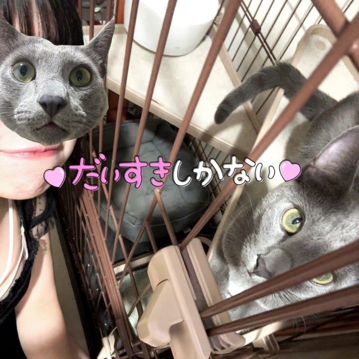ゆうか