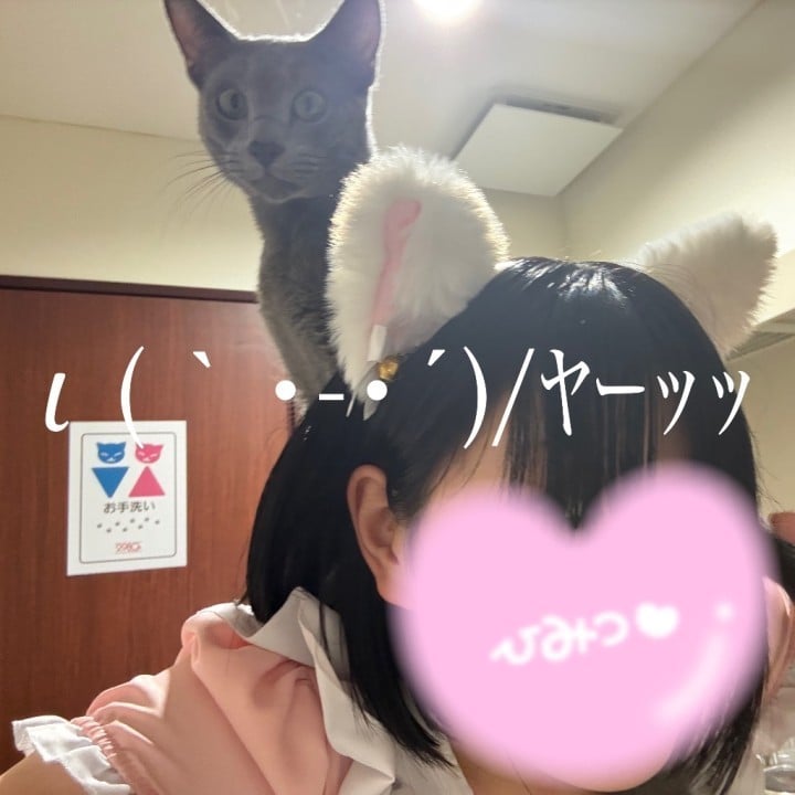 ゆうか