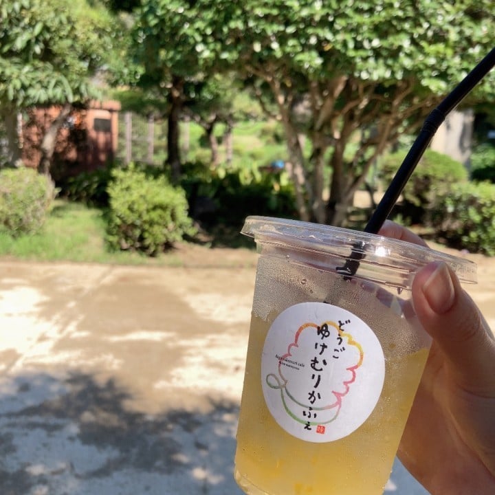 しおり