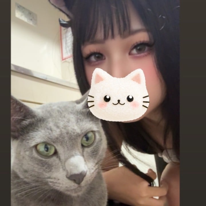 いこい