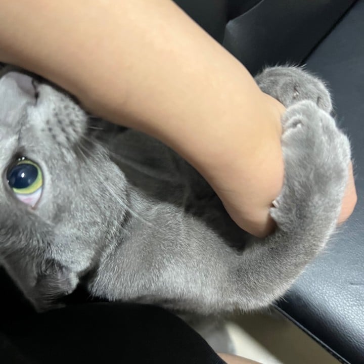 ふみの