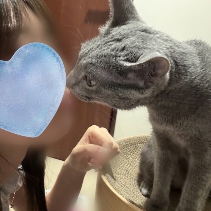 ぴの