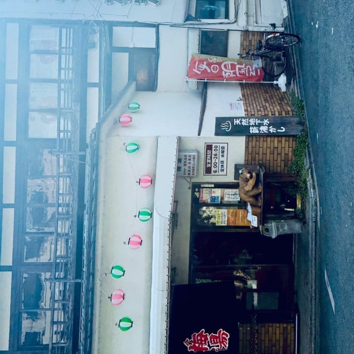 こはる