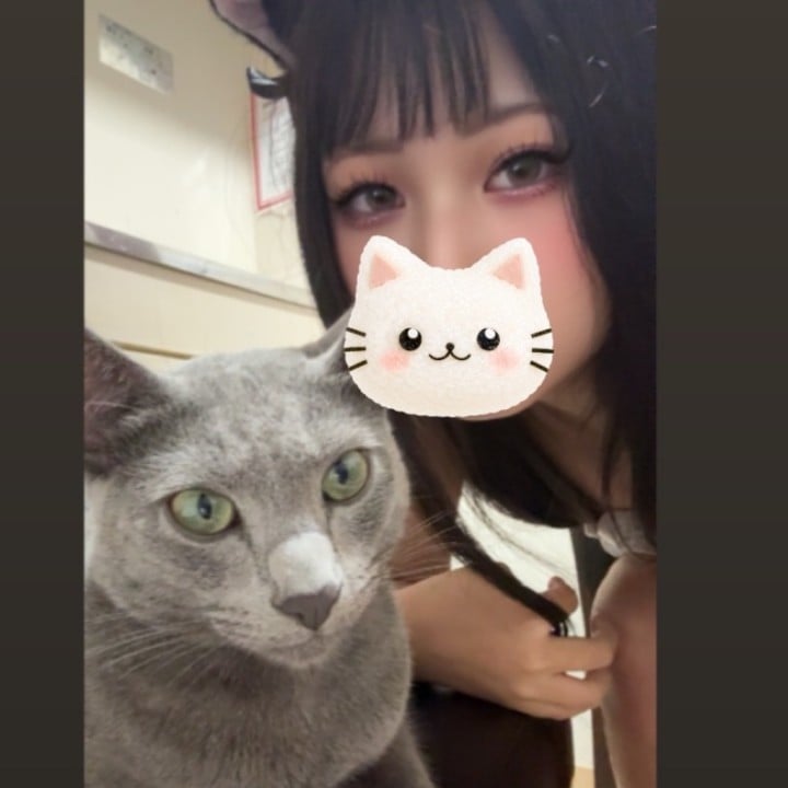 いこい